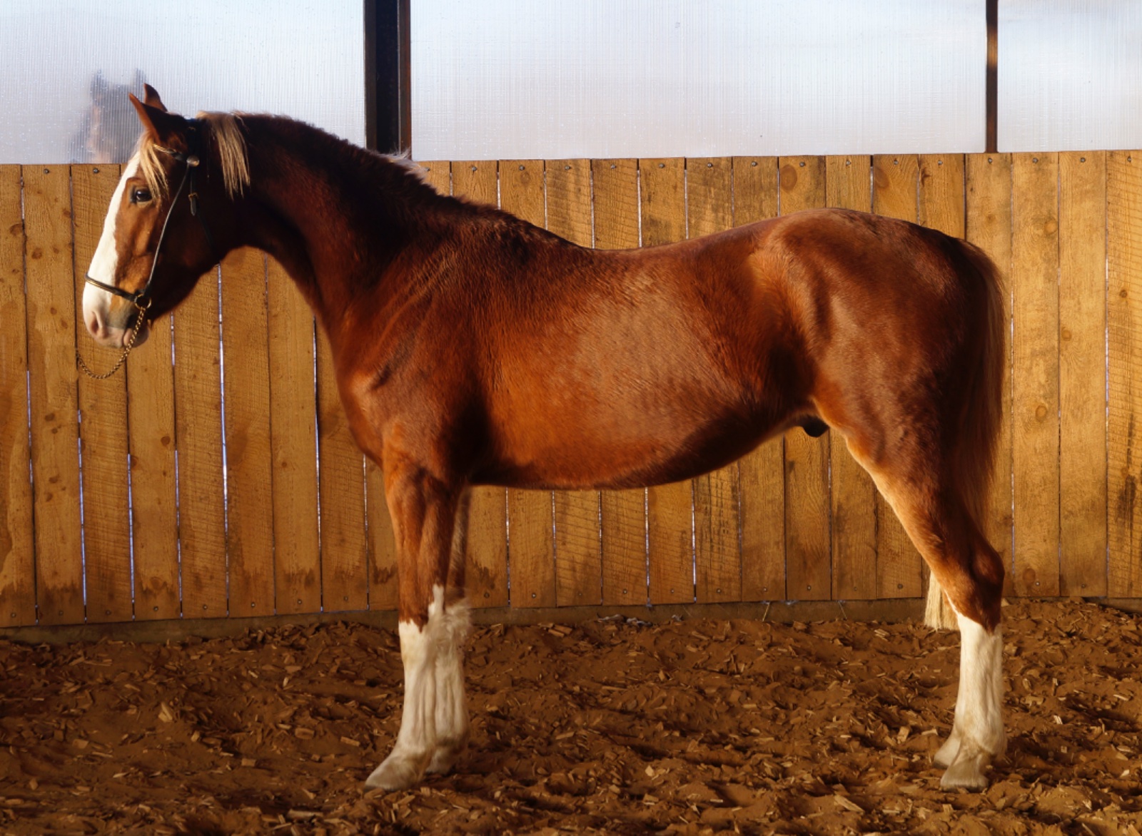 A3F35CA9-A972-47C9-A336-A4E79F2735FD.jpeg A3F35CA9-A972-47C9-A336-A4E79F2735FD.jpeg