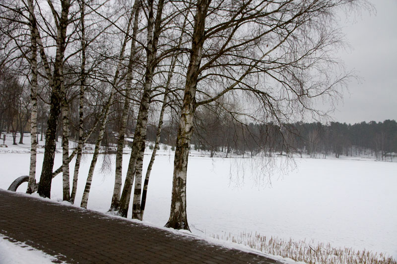 A_0103.jpg