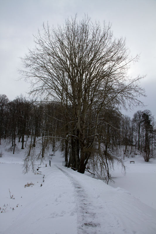 A_0417.jpg