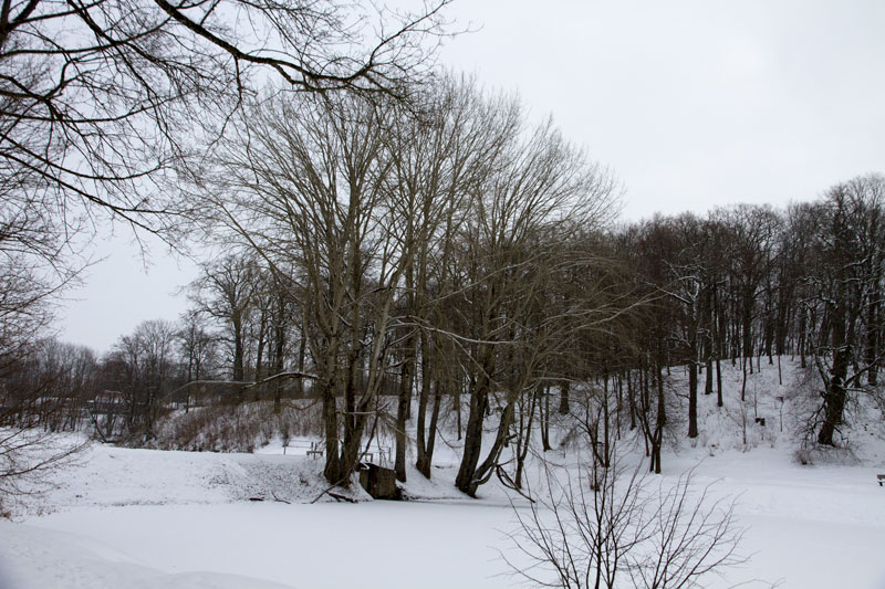 A_0421.jpg
