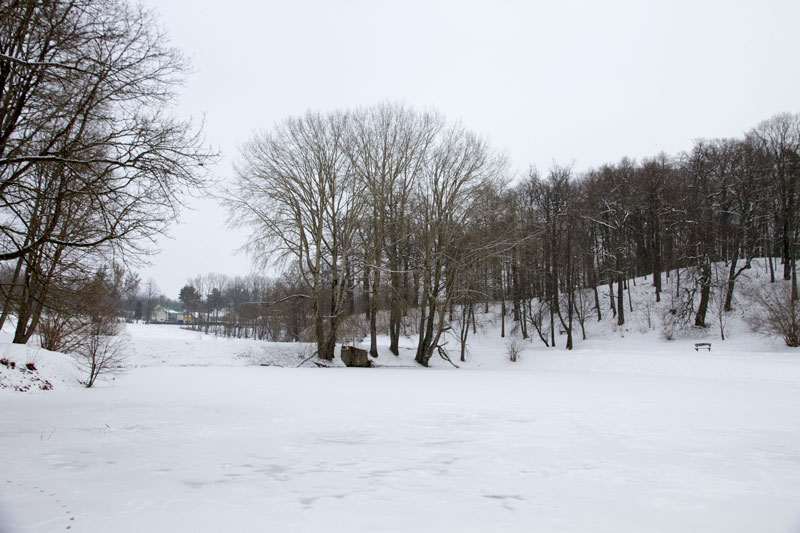 A_0423.jpg