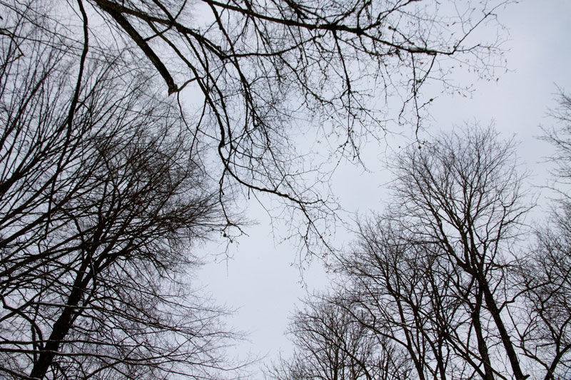 A_0424.jpg