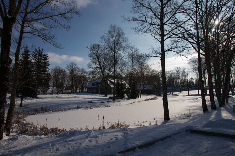 A_0446.jpg