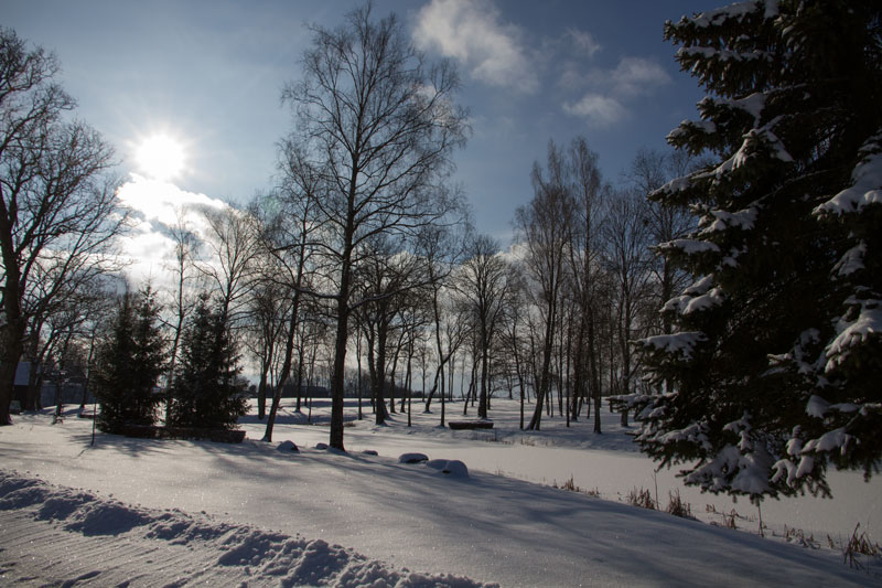 A_0447.jpg