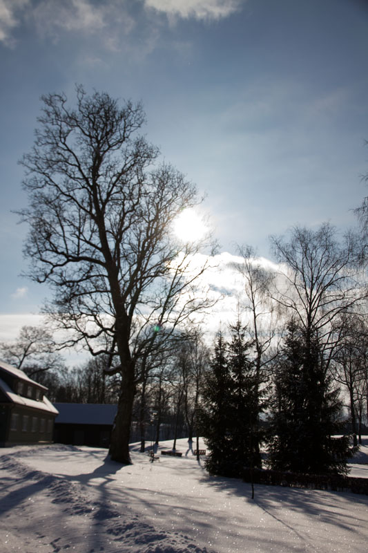 A_0449.jpg
