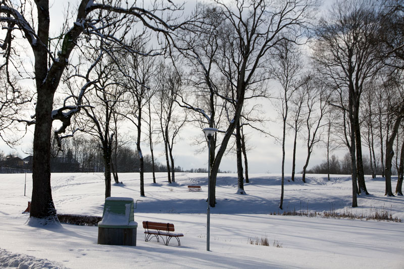 A_0450.jpg
