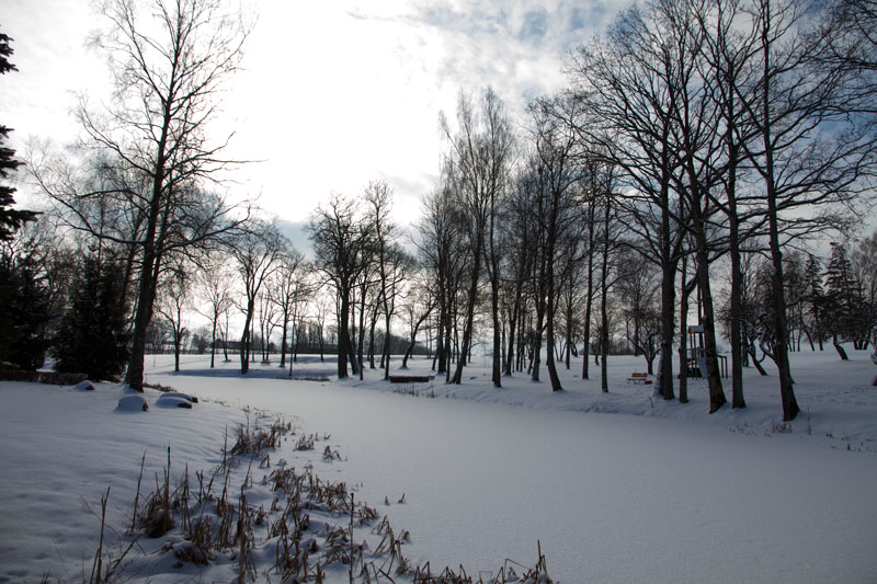 A_0458.jpg
