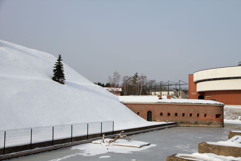 A_0461.jpg