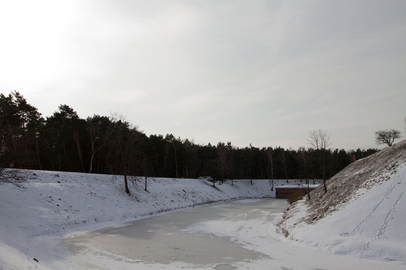 A_0462.jpg