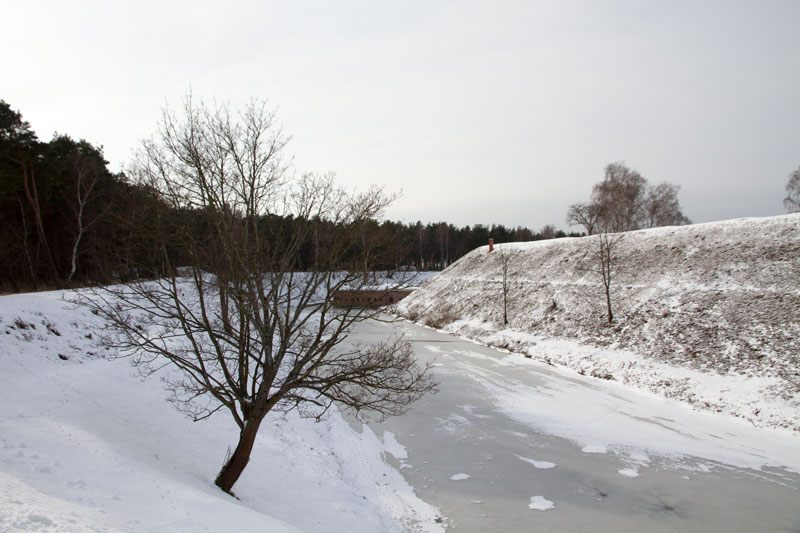 A_0463.jpg