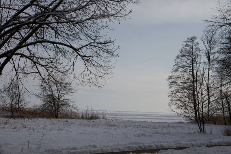 A_0486.jpg