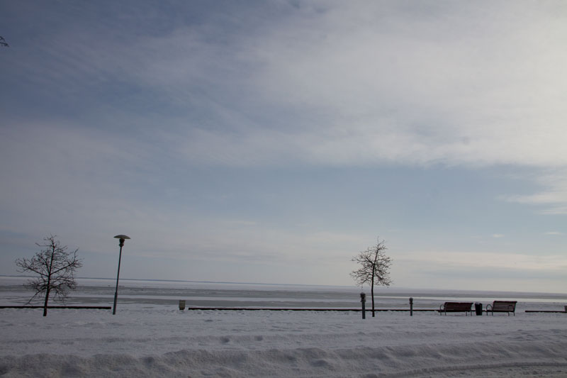 A_0487.jpg