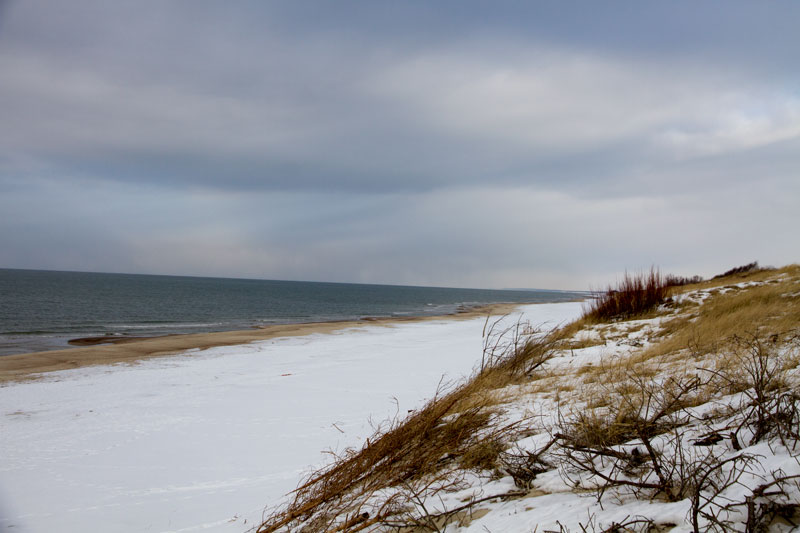 A_0508.jpg