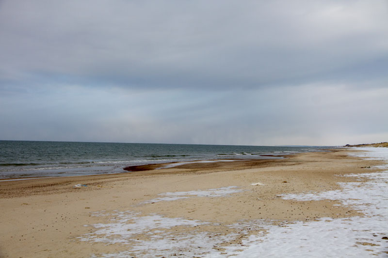 A_0509.jpg