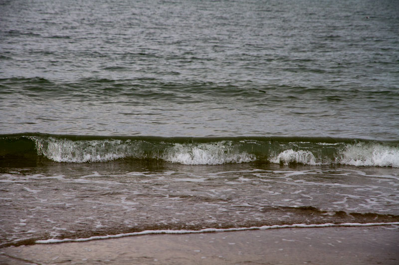 A_0512.jpg