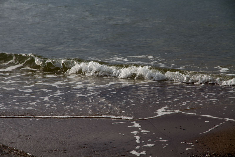 A_0524.jpg