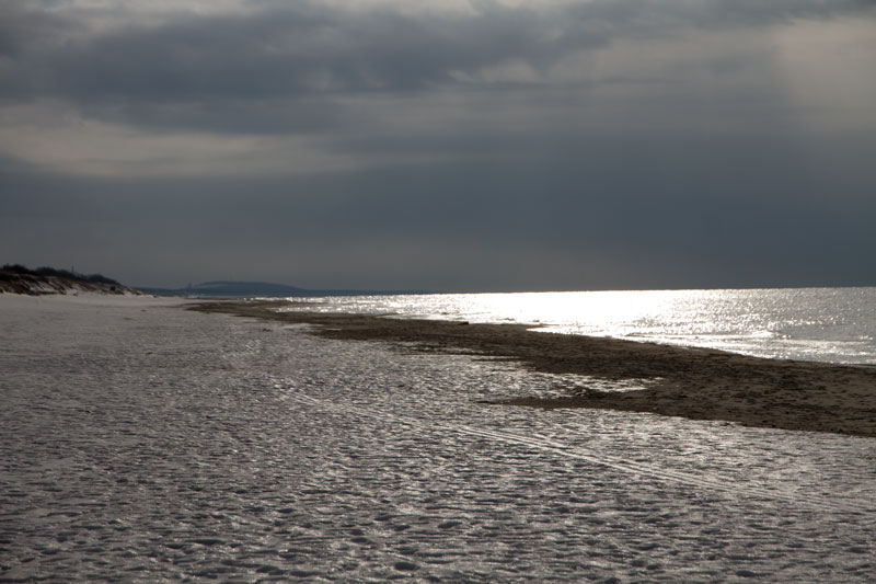 A_0527.jpg
