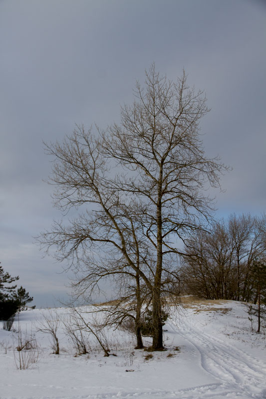 A_0530.jpg