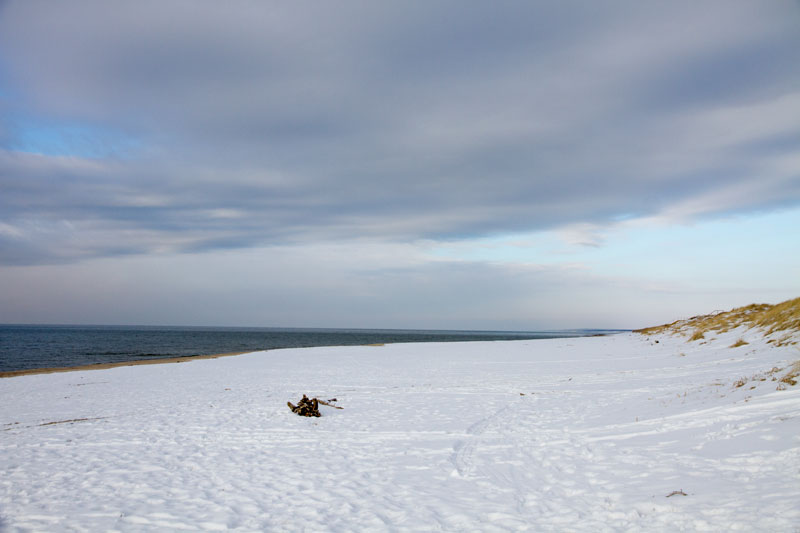 A_0537.jpg