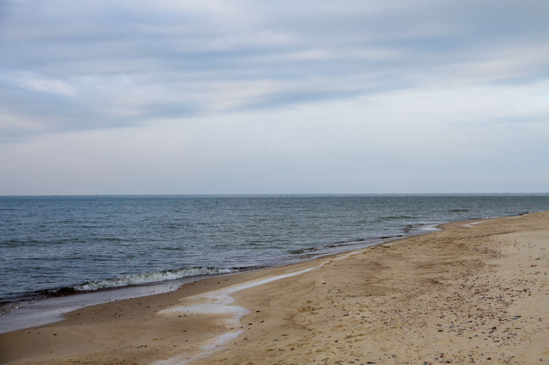 A_0540.jpg