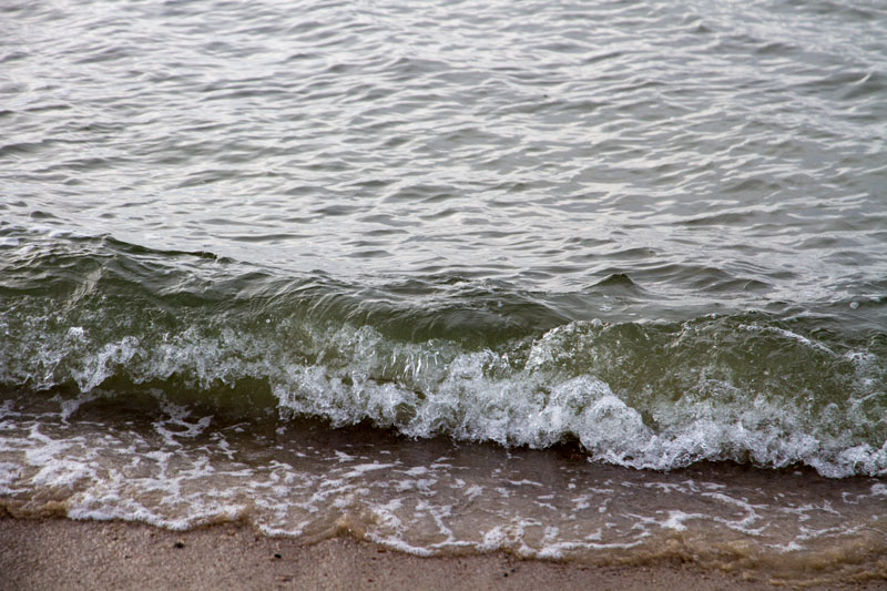 A_0544.jpg