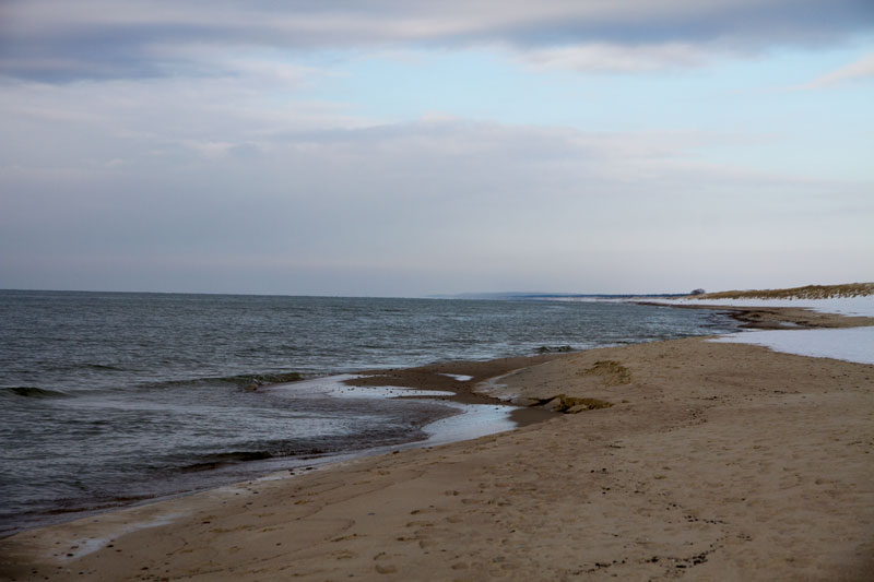 A_0547.jpg
