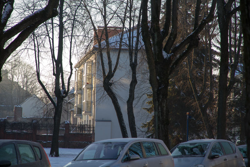 A_0559.jpg