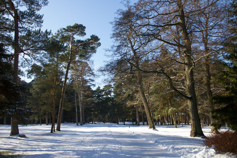 A_0644.jpg