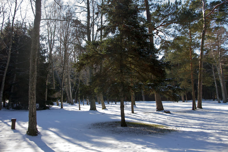 A_0645.jpg