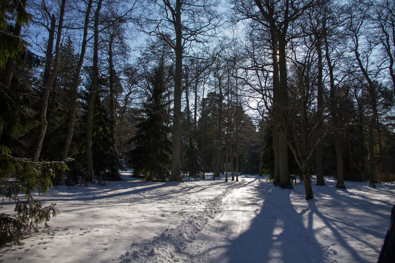 A_0646.jpg