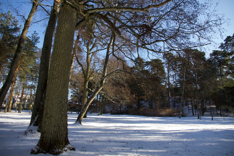 A_0650.jpg