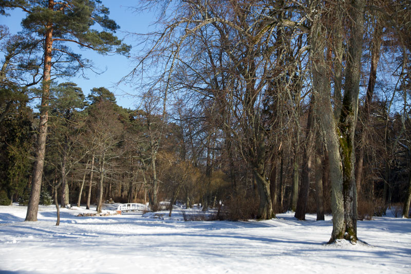 A_0666.jpg