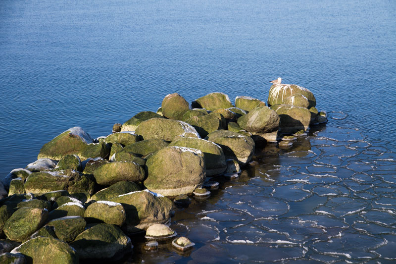 A_0730.jpg