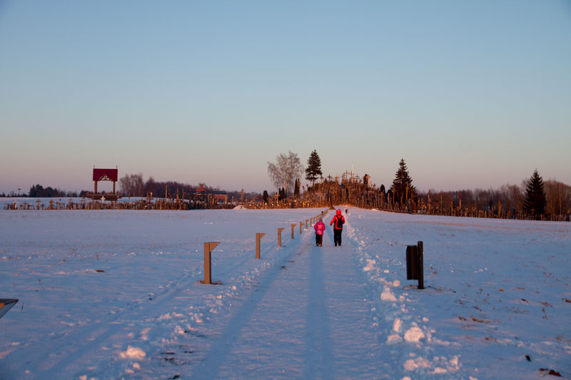 A_0739.jpg