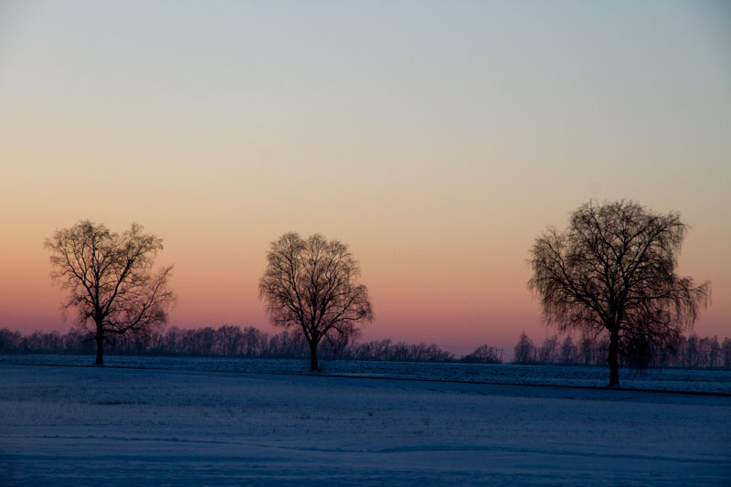 A_0759.jpg