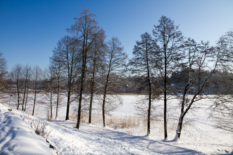 A_0780.jpg