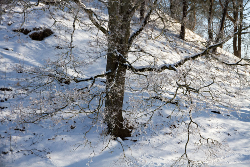 A_0786.jpg