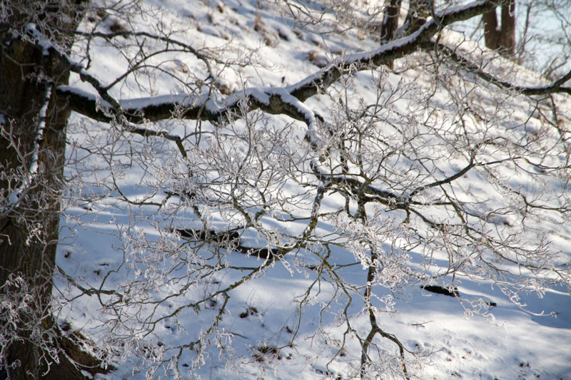 A_0790.jpg