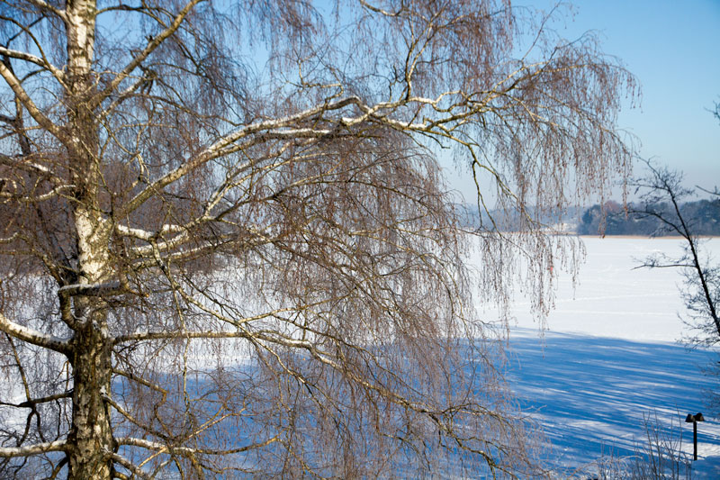 A_0794.jpg
