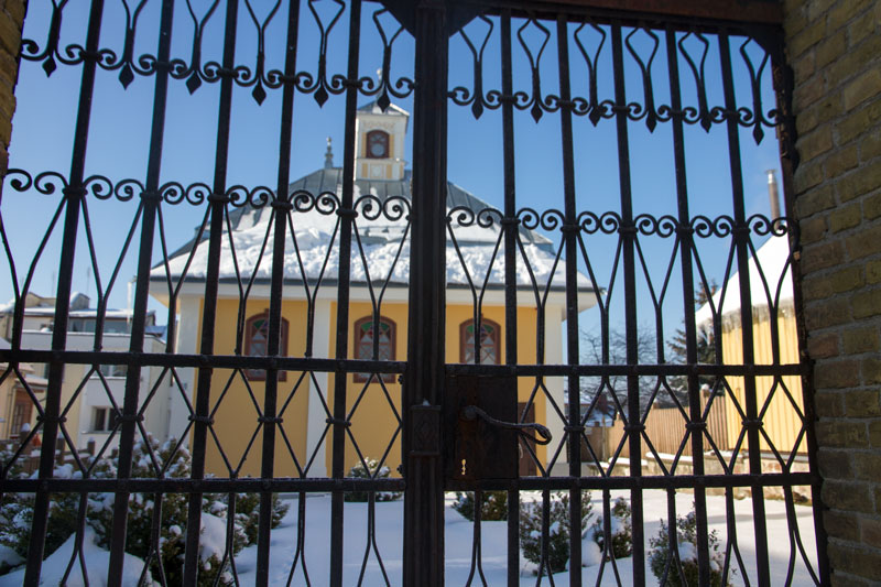 A_0798.jpg