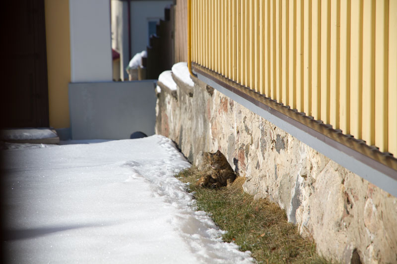 A_0801.jpg