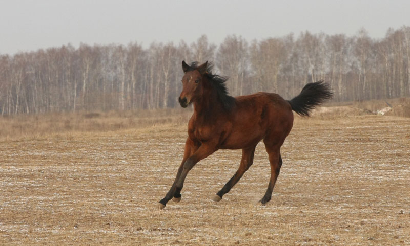 a_3565.jpg