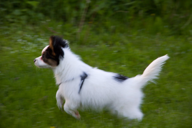A_7854.jpg