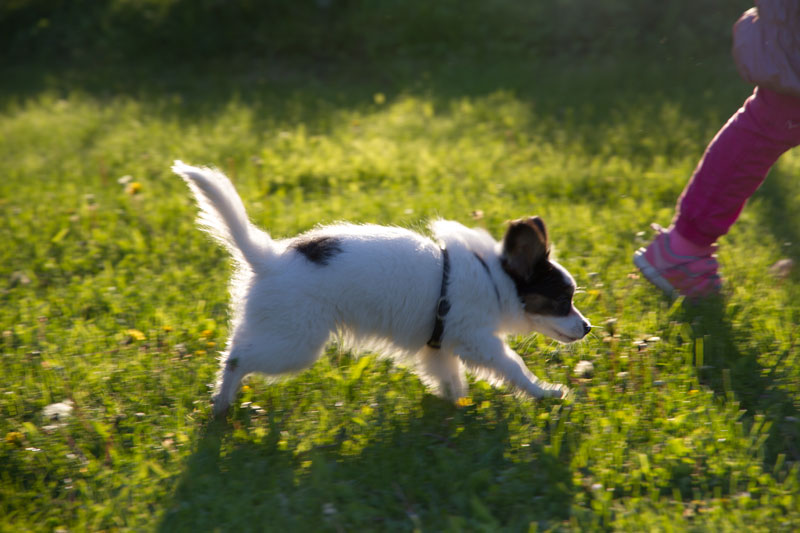 A_7859.jpg