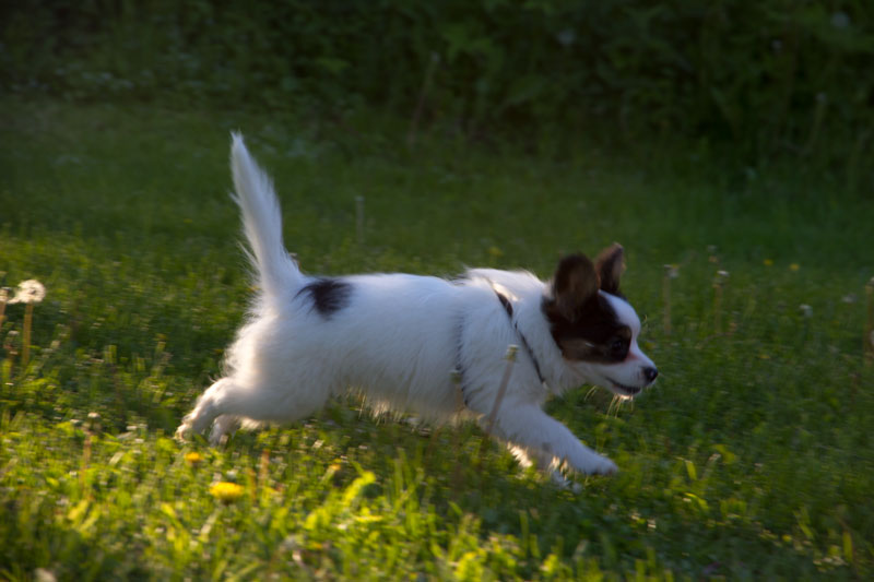 A_7861.jpg