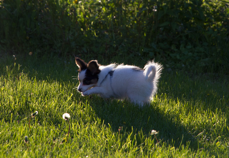 A_7872.jpg