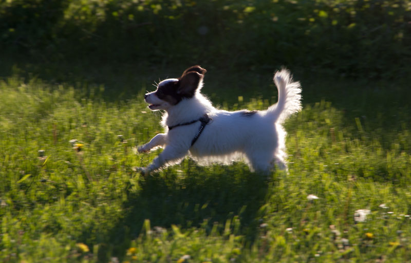 A_7875.jpg