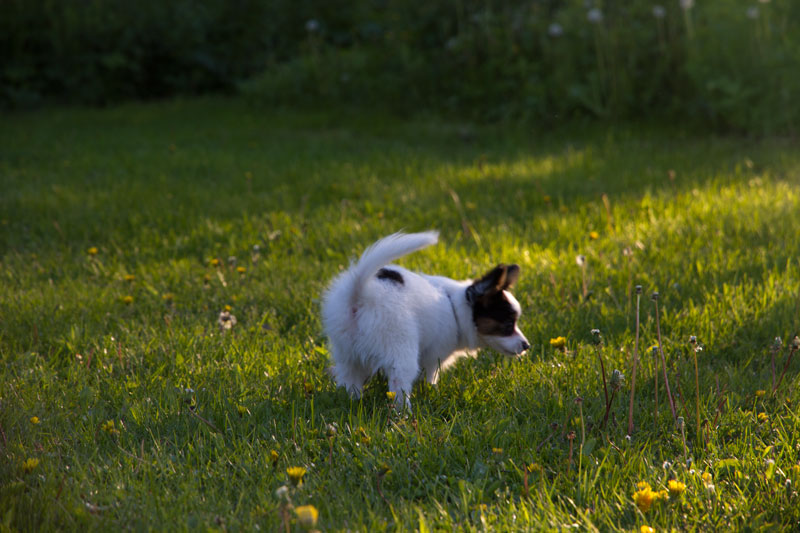 A_7880.jpg