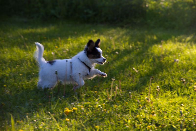 A_7881.jpg