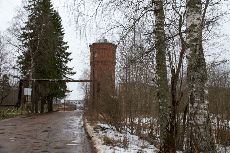A_8167.jpg